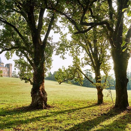 Chateau De Sibra Lagarde  Eksteriør billede