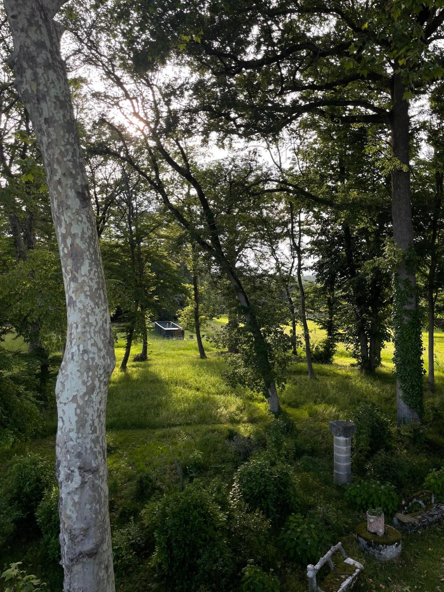 Chateau De Sibra Lagarde  Eksteriør billede