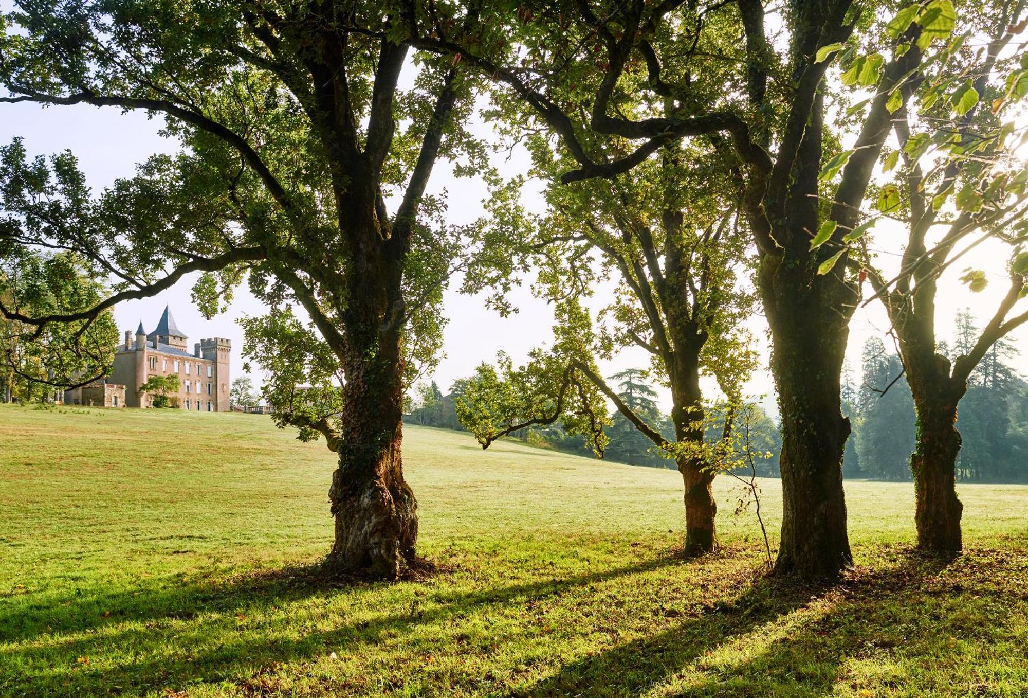 Chateau De Sibra Lagarde  Eksteriør billede